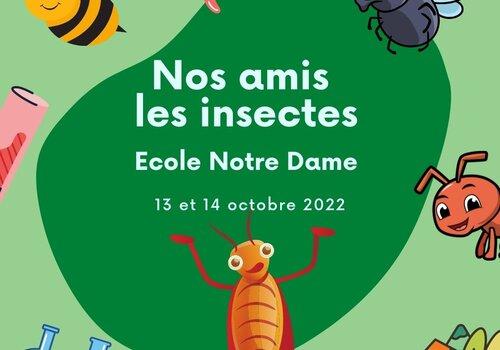 Nos Amis Les Insectes Fête De La Science